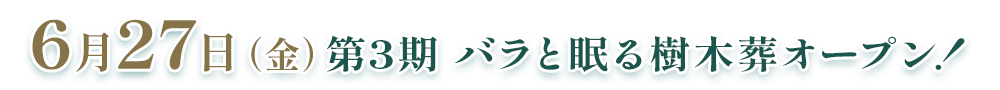 6月27日（金）第3期 バラと眠る樹木葬オープン